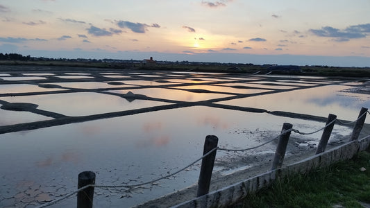 Noirmoutier - das weiße Gold, Bericht auf Arte